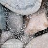 Pebbles Web and Water 1  Limited Print of 5 Mount Sizes 20x16 16x12 A4