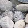Pebbles Web and Water 2  Limited Print of 5 Mount Sizes 20x16 16x12 A4