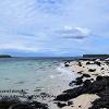 Rocky Shore Coral Beach  Limited Print of 5 Mount Sizes 20x16 16x12 A4