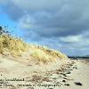 Sand Dunes Sandhead  Limited Print of 5 Mount Sizes 20x16 16x12 A4