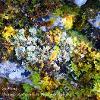 March 2021 Cup Lichen in Moss  Limited Print of 5  Mount Sizes A4 16x12 20x16