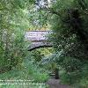 Autumn Approaches the Viaduct   Limited Print of 5 Mount Sizes 16x12 20x16
