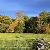 Eden Fields Autumn -Kirkby Stephen  Limited Print of 5 Mount Sizes  A4 16x12 20x16