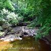 Eden Pool in Stenkrith.  Limited Print of 5 Mount Sizes  A4 16x12 20x16