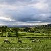 Eden View	Limited Print of 5  Mount Sizes 16x12 20x16