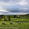 Eden View   Limited Print of 10  Mount Sizes A4 16x12 20x16