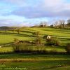 Fields and Fells Nateby  Limited Print of 5 Mount Sizes  A4 16x12 20x16