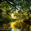 From Under Swingy Bridge 1  Limited Print of 5  Mount Sizes 20x16 16x12 A4