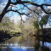 From under Swingy Bridge 3  Limited Print of 5 Mount Sizes  A4 16x12 20x16