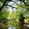 From under Swingy Bridge 4  Limited Print of 5 Mount Sizes  A4 16x12 20x16