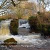 Full Flow on the Salmon Leap  Limited Print of 5 Mount Sizes  A4 16x12 20x16