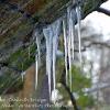 Icicles under Stenkrith Bridge.Limited Print of 5 Mount Sizes  A4 16x12 20x16