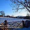 Over Snowy Fields  to Wild Boar  Limited Print of 5 Mount Sizes  A4 16x12 20x16