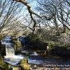 Salmon Leap Hartley Beck  Limited Print of 5 Mount Sizes  A4 16x12 20x16