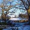 Snowy Beck at Nateby  Limited Print of 5 Mount Sizes  A4 16x12 20x16