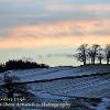 Trees in Winters Dusk  Limited Print of 5 Mount Sizes  A4 16x12 20x16