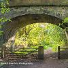 Viaduct Arch	Limited Print of 5 Mount Sizes 16x12 20x16