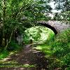 Bridging the Viaduct Walk  Limited Print of 5 Mount Sizes  A4 16x12 20x16