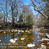 Down Stream by Castle Hill.  Limited Print of 5 Mount Sizes  A4 16x12 20x16