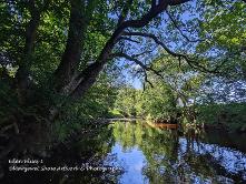 river eden