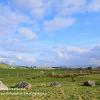 Eden Valley from Gamesland  Limited Print of 5 Mount Sizes  A4 16x12 20x16