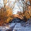 Golden Viaduct Bridge  Limited Print of 5 Mount Sizes  A4 16x12 20x16