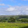 Over Fields to Fells  Limited Print of 5 Mount Sizes  A4 16x12 20x16