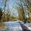 Snow on the Viaduct Walk   Limited Print of 5  Mount Sizes 8x10 12x10 16x12 20x16