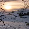 Snow Sheep and Sunset Kirkby Stephen  Limited Print of 5  Mount Sizes10x8 12x10 16x12 20x16