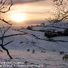 Snow Sheep and Sunset Kirkby Stephen 	Linited Print of 5  Mount Sizes 16x12 20x16