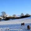 Snowy Fields and Fells  Limited Print of 5 Mount Sizes  A4 16x12 20x16