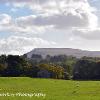 Wild Boar Panorama  Limited Print of 5 Mount Size 20x12