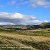 Wild Boar from Ravenstonedale.  Limited Print of 5.  Mount Sizes A4 16x12  20x16