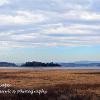 Holme Island Landscape  Limited Print of 5 Mount size 20x12