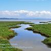 Tide in Grange over Sands  Limited print of 5 Mount Sizes A4 16x12 20x16