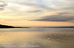 pastel bay 2