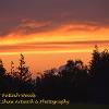 Sunset over Balloch Woods  Limited Print of 5 Mount Sizes 20x16 16x12 A4