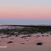 Ardwell Pinks   Limited Print of 5  Mount Size 20 x 12