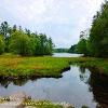 Down Tarn Hows  Limited Print of 5  Mount Sizes 20x16 16x12 12x10 10x8