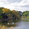 End of Talkin Tarn   Limited Print of 5  Mount Sizes 20x16 16x12 A4