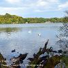 Into Talkin Tarn   Limited Print of 5 Mount Size A4 20x16 16x12