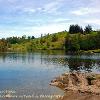 Into Tarn Hows  Limited Print of 5 Mount Sizes20x16 16x12 a4