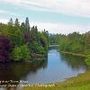 Looking over Tarn Hows  Limited Print of 5  Mount Sizes 20x16 16x12 12x10 10x8