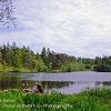 Top of Tarn Hows  Limited Print of 5 Mount Sizes20x16 16x12 a4