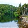 Wooded Shoreline Tarn Hows  Limited Print of 5  Mount Sizes 20x16 16x12 12x10 10x8