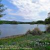 Black Loch – Castle Kennedy  Limited Print of 5  Mount Sizes 20x16 16x12 12x10 10x8