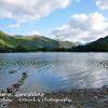 Into Ullswater at Glenridding  Limited Print of 5  Mount Sizes 20x16 16x12 A4