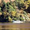 Autumn Sail  Limited Print of 5  Mount Sizes 20x16 16x12 A4