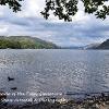 From the Shade of the Trees Glencoyne 2  Limited Print of 5  Mount Sizes a4 16x12 20x16