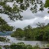 Glencoyne Greenery  Limited Print of 5  Mount Sizes12x10 16x12 20x16